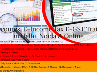 the-future-of-accounting-careers-job-prospects-skills-needed-in-2025-100-job-accounting-course-in-delhi-110077-by-sla-consultants-india