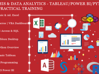 remote-work-global-opportunities-why-data-analyst-is-a-smart-choice-in-2025-mis-course-in-delhi-by-sla-consultants-india