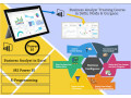 the-rise-of-remote-business-analyst-jobs-why-an-data-analyst-course-is-key-in-2025-excel-vba-sql-ms-access-by-sla-consultants-india-small-0